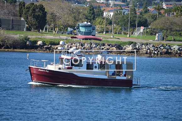 DSC_0076 (1)