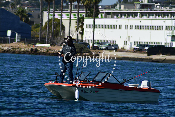 DSC_1913 (1)