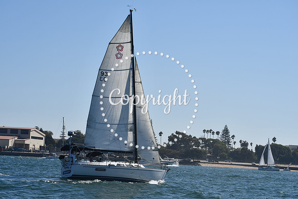 DSC_1347 (1)