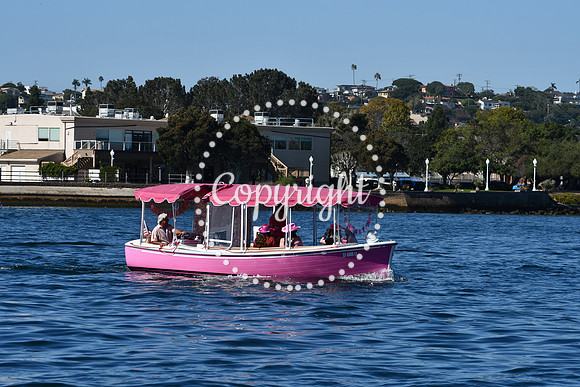 DSC_1959 (1)