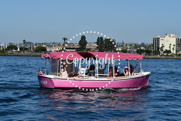 DSC_1968 (1)