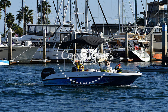 DSC_2338 (1)