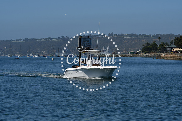 DSC_2547 - Copy