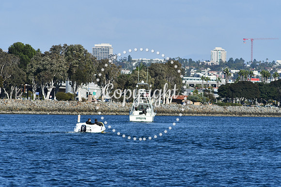 DSC_2330 (1)