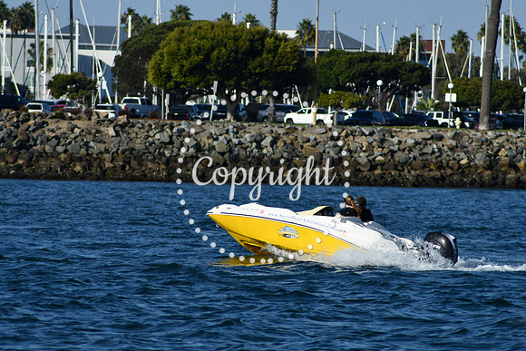 DSC_2319 (1)