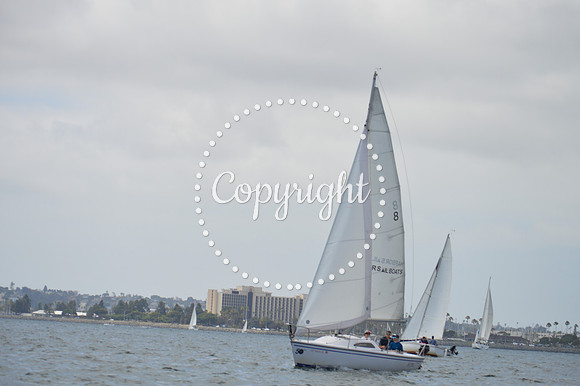 DSC_0203 - Copy