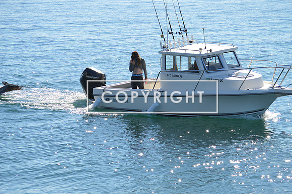 DSC_0040 (1)