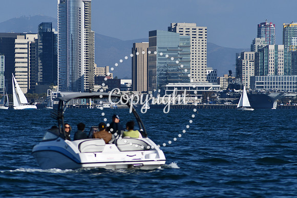 DSC_2304 (1)