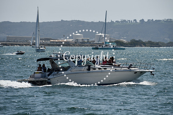 DSC_0539 (1)