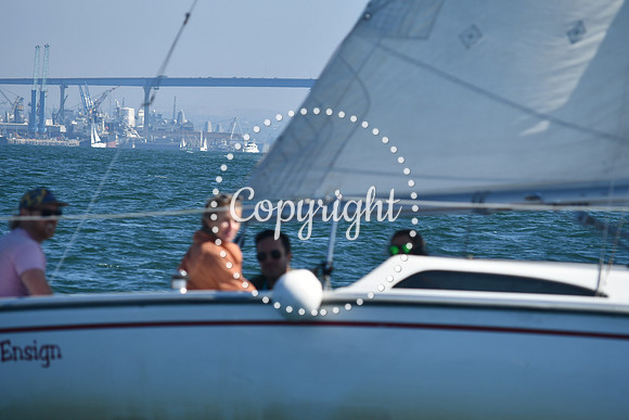 DSC_1355 (1)