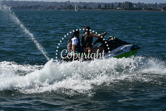 DSC_1381 (1)