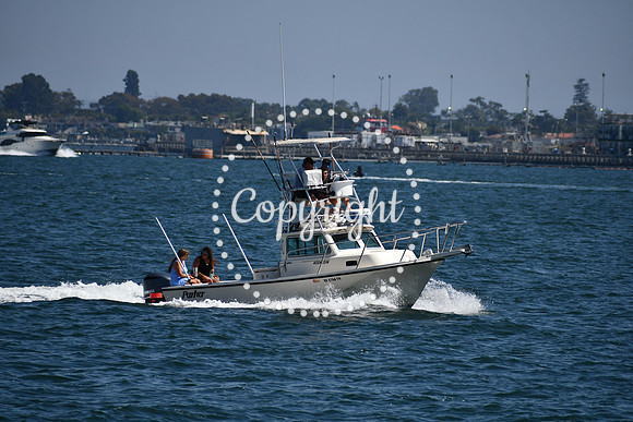 DSC_0498 (1)