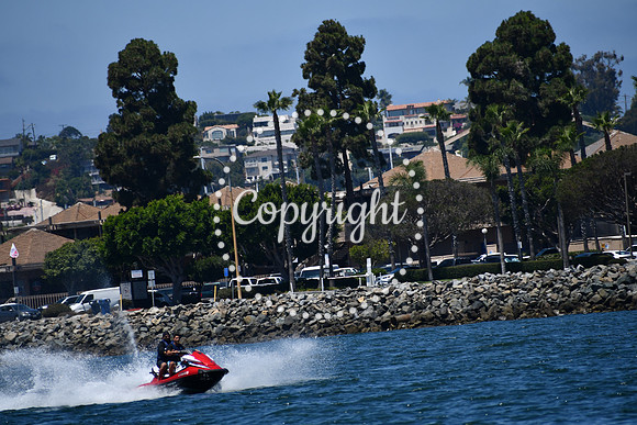 DSC_0224 (1)