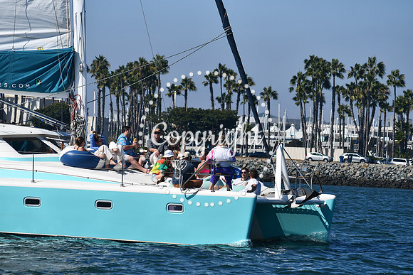 DSC_1330 (1)