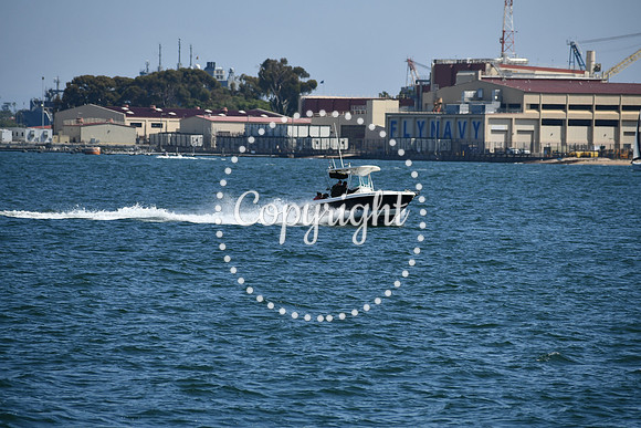 DSC_0554 (1)
