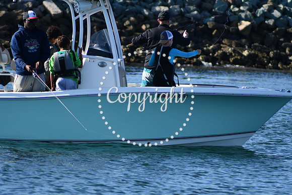 DSC_2264 (1)