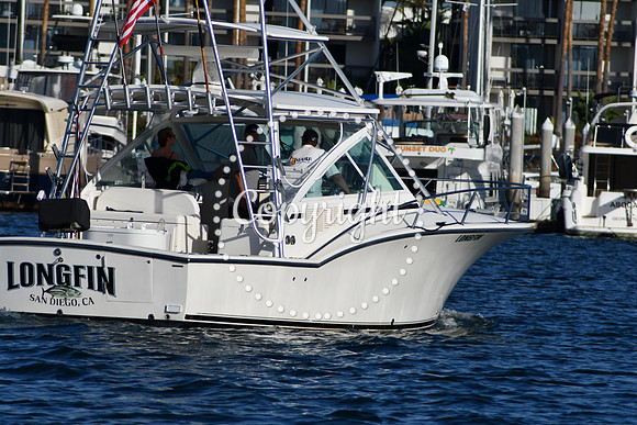DSC_2363 (1)