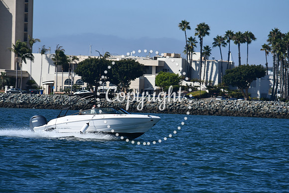DSC_1445 (1)