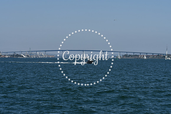DSC_0549 (1)