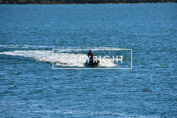 DSC_2967 (2)