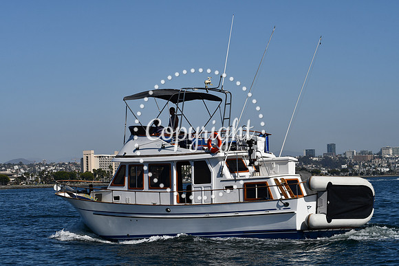 DSC_1946 (1)