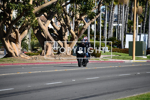DSC_2922