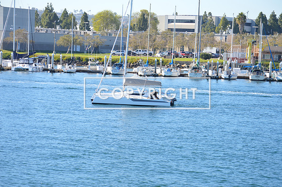 DSC_0049 (1)