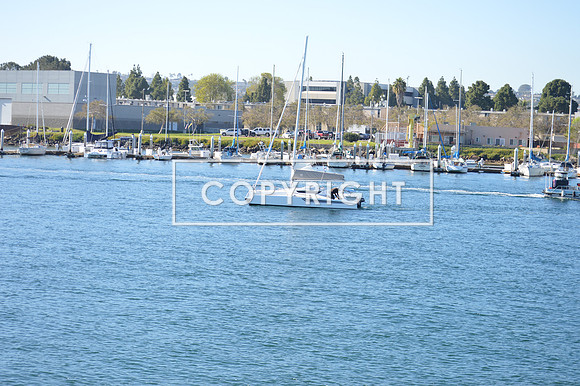 DSC_0048 (1)