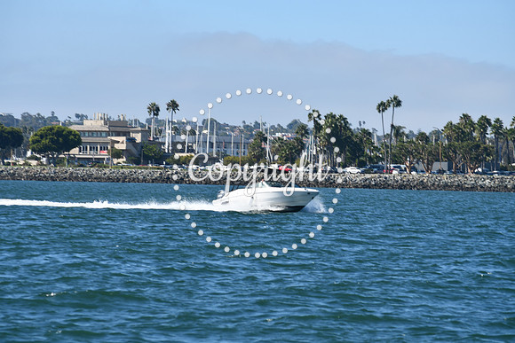 DSC_1442 (1)