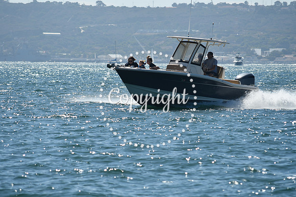 DSC_1293 (1)