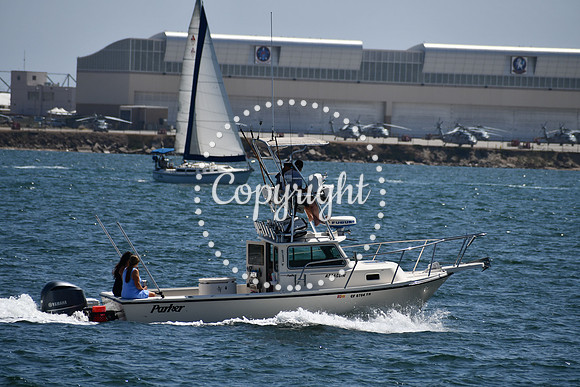 DSC_0503 (1)