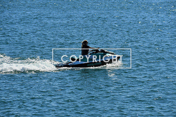 DSC_2960 (2)