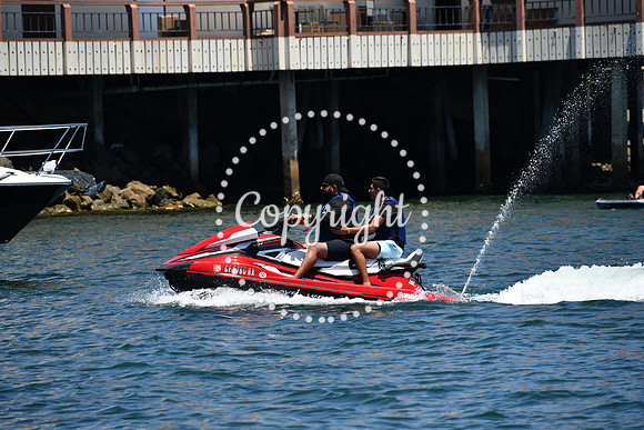 DSC_0282 (1)