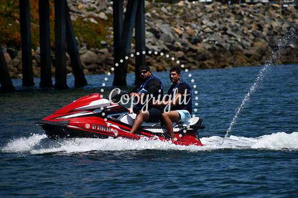 DSC_0279 (1)