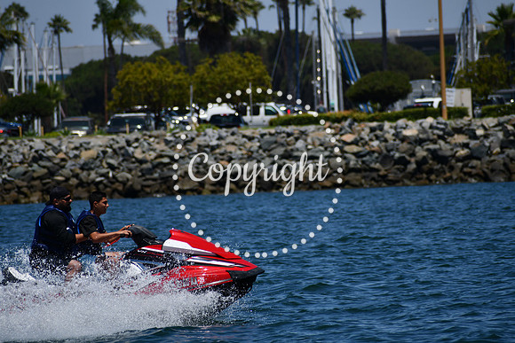DSC_0227 (1)