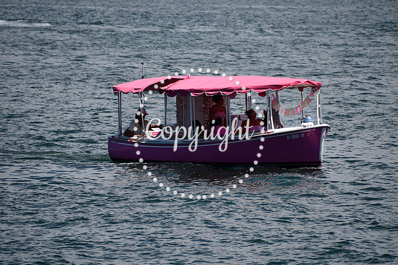 DSC_0442 (2)