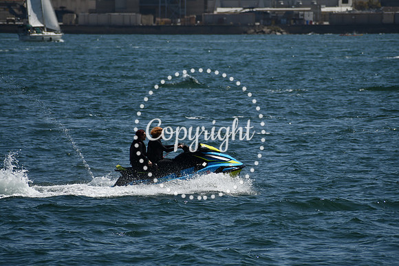 DSC_0483 (1)