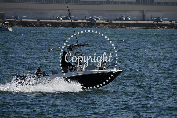 DSC_0575 (1)