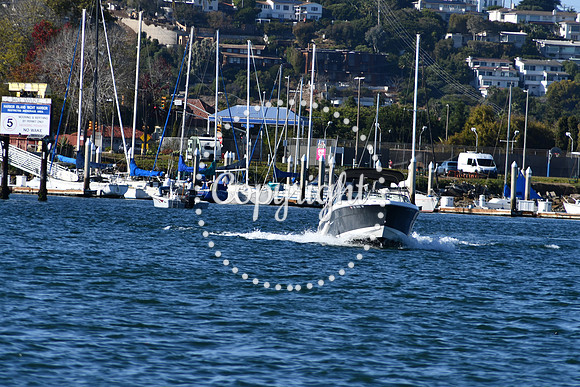 DSC_2276 (1)