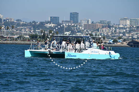 DSC_1306 (1)