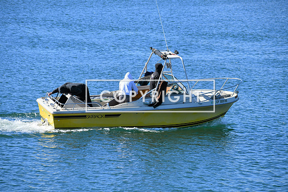 DSC_2847 (2)