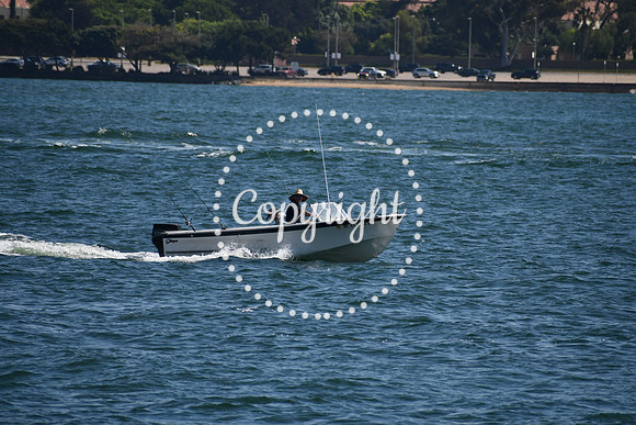 DSC_0546 (1)