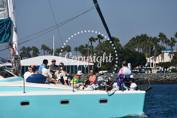 DSC_1334 (1)