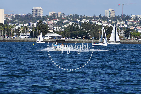 DSC_2297 (1)