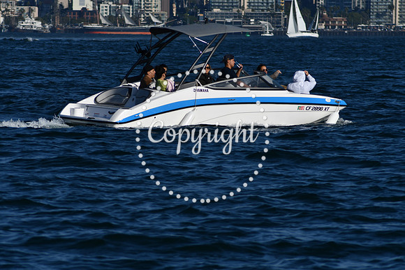DSC_2303 (1)