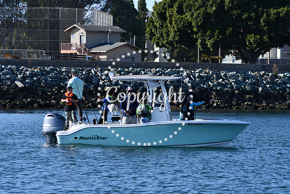 DSC_2265 (1)