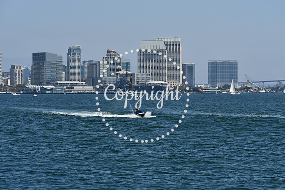DSC_0479 (1)