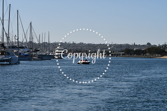 DSC_2038 (1)