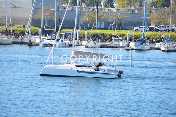 DSC_0051 (1)