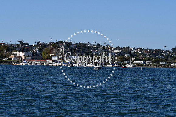 DSC_2274 (1)
